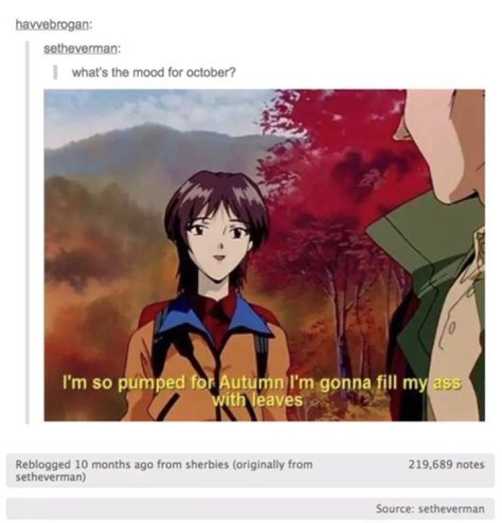 30 Fall Memes for the Autumn-Obsessed