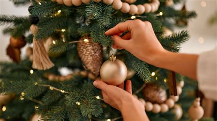 8 Mistakes You're Making That Are Killing Your Christmas Tree, Experts Say