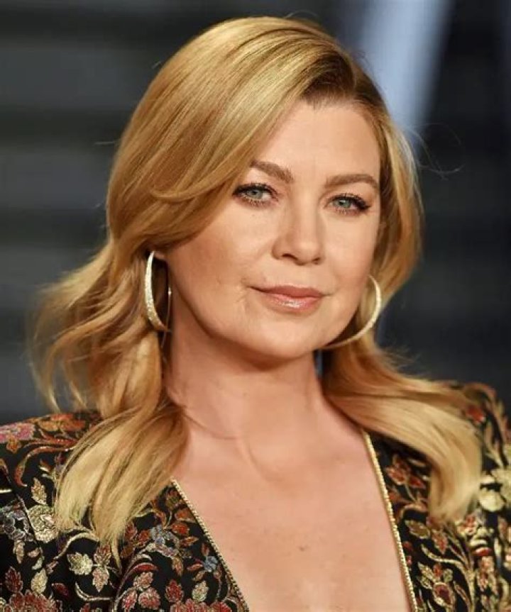 How Did Meredith Grey Get The Scar On Her Face?