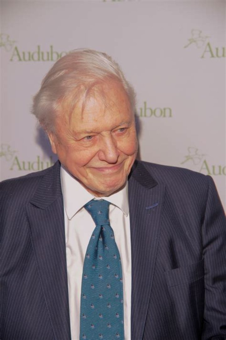 How Much Is David Attenborough Worth?